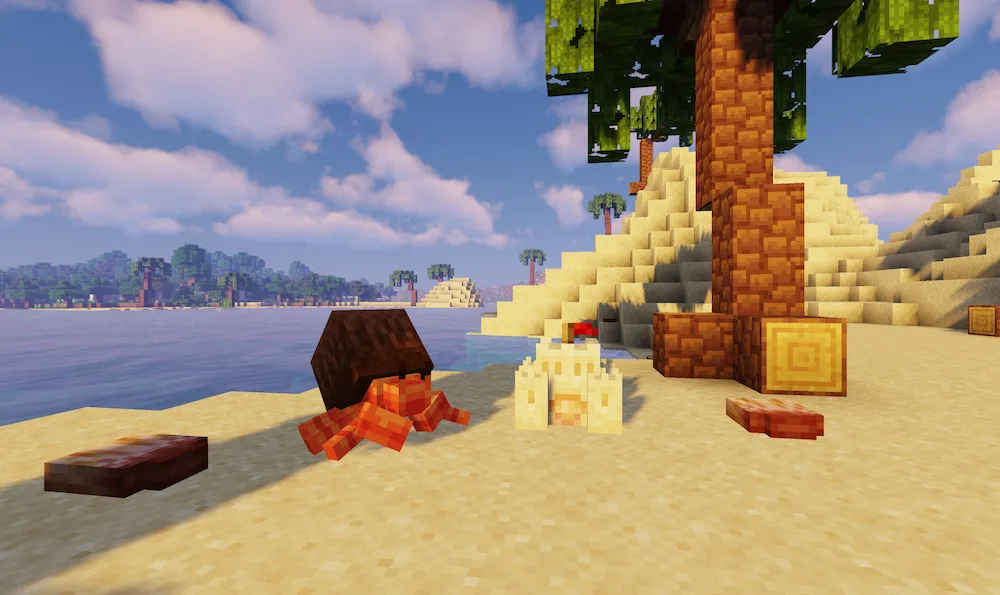 Coconut Crab, Sand Castle, and Seashells