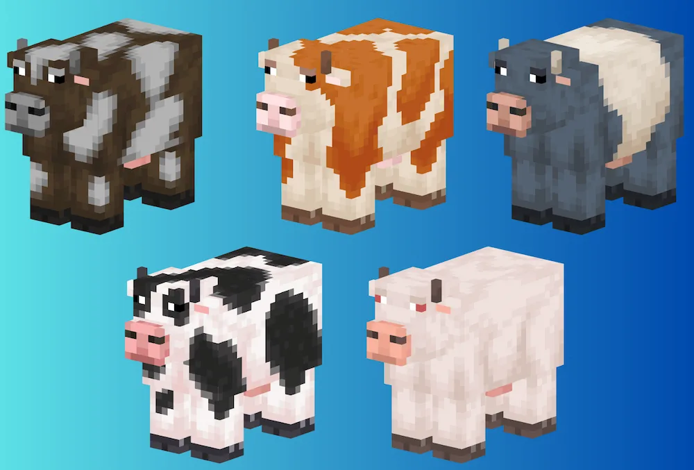 Cows variants