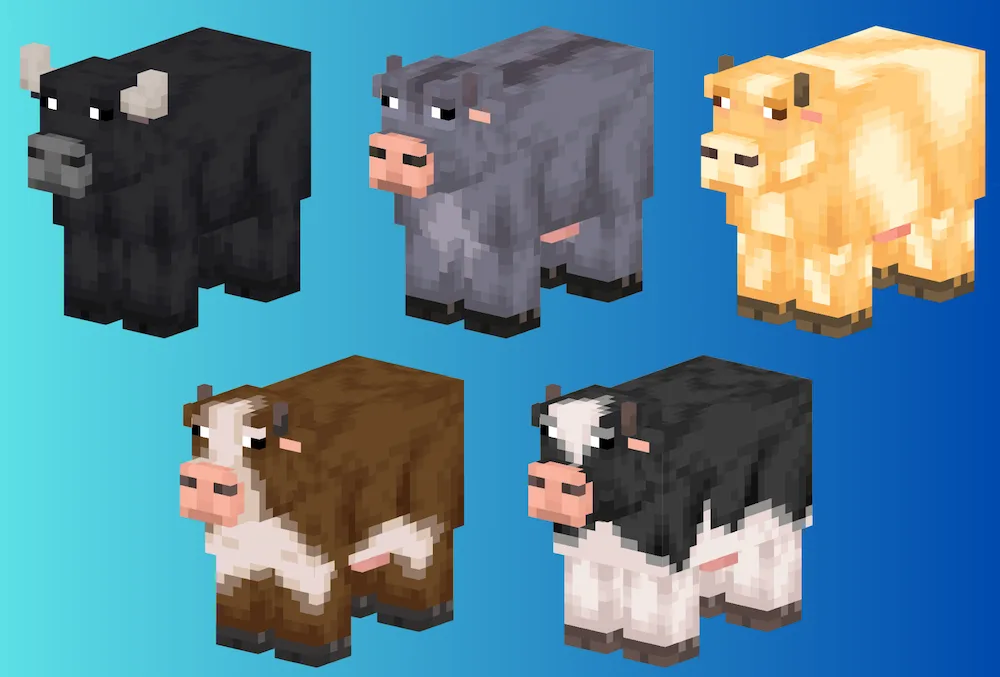 Cows variants 2