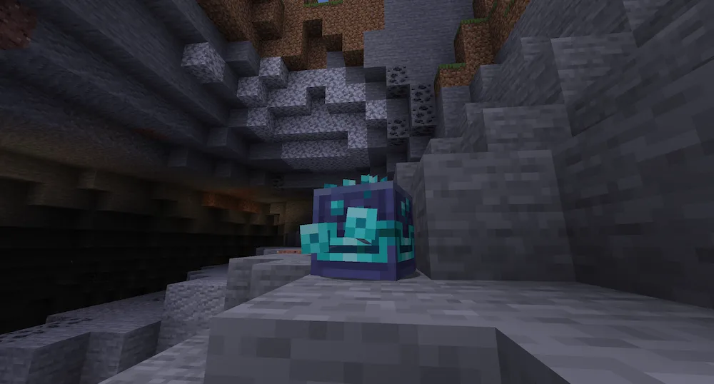 This guy is hiding inside its precious shell