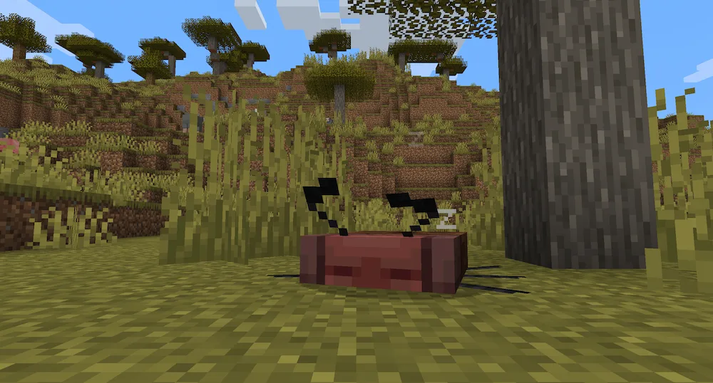 Their trainer told them to take a nap underneath this tree