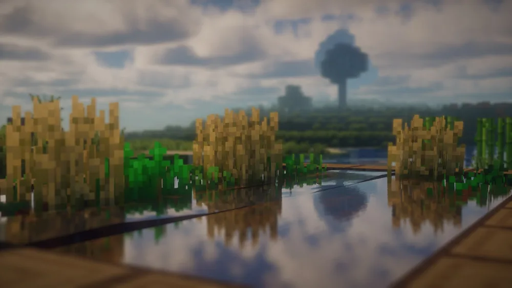 reflection