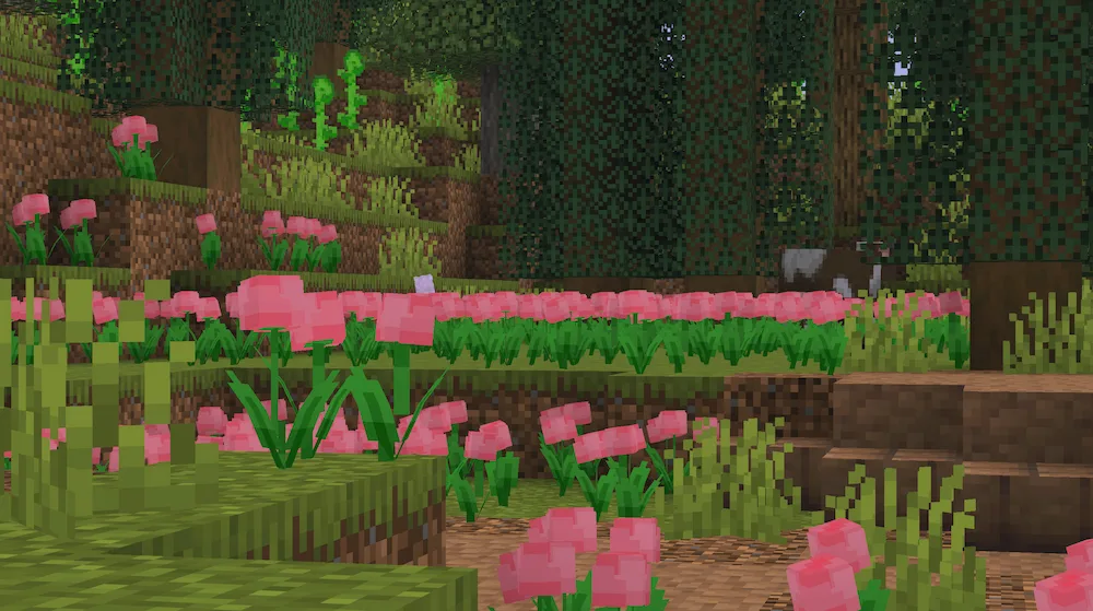pink flowers