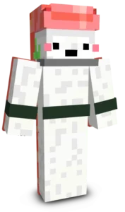 Cute Sushi Character Skin