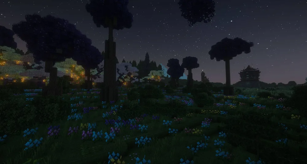 Enchanted Forest at night