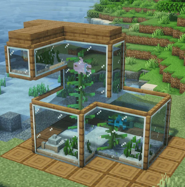 aquarium