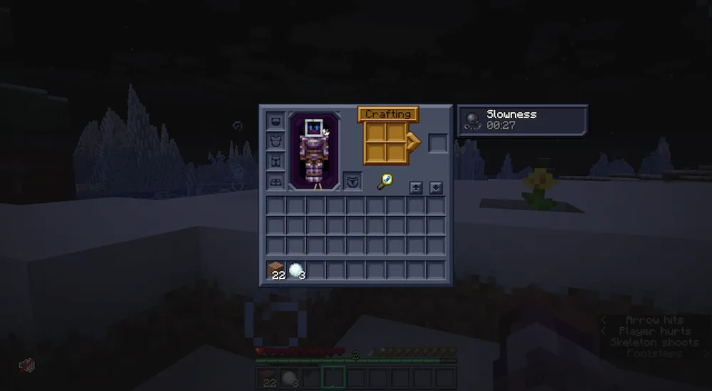 Player Inventory