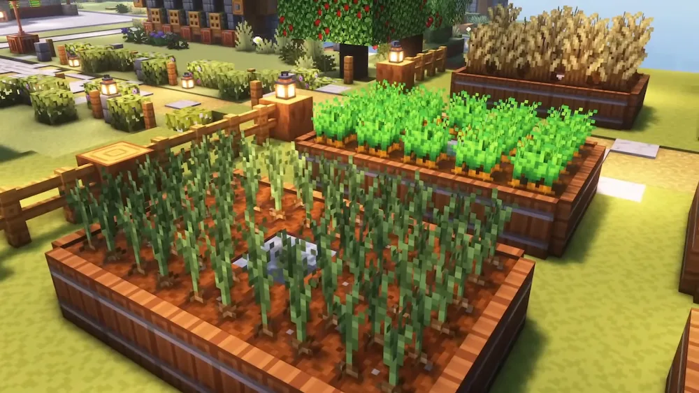 crops 2