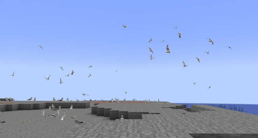 Gulls on a stony shore