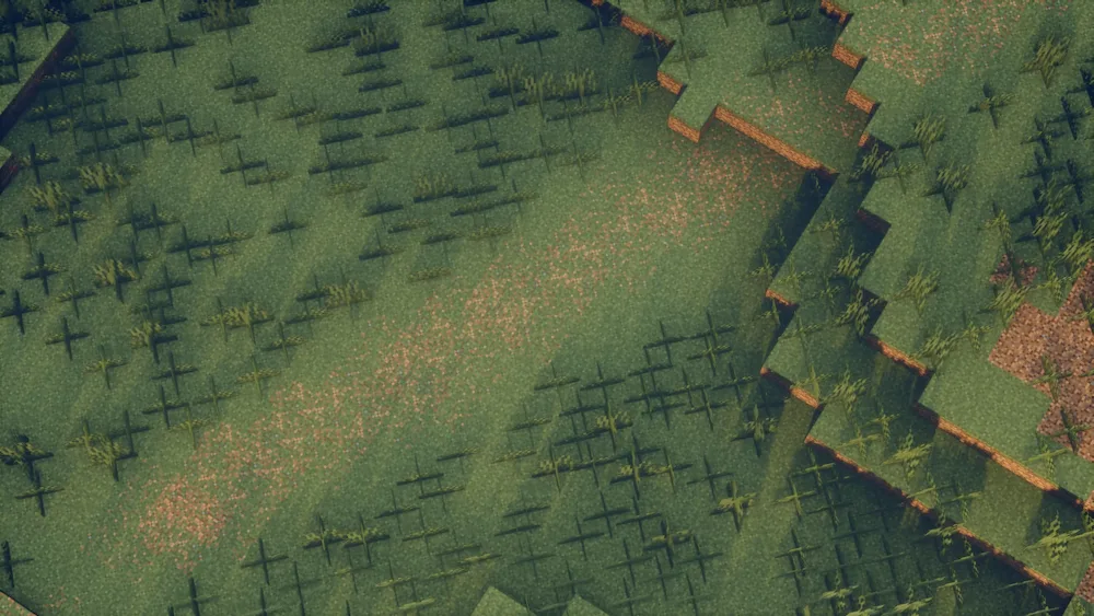 Grass and Dirt Erosion