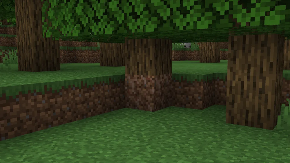 A tree with Rooted Dirt beneath it
