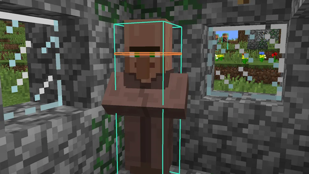 village Hitbox