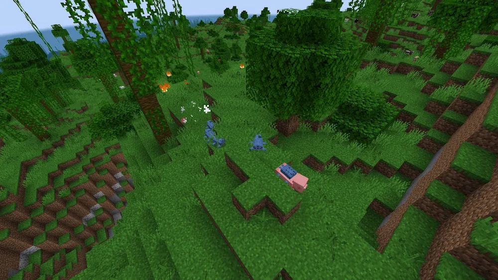 Invasion