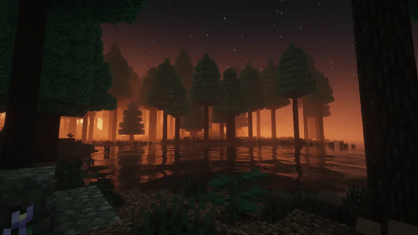 sunset
