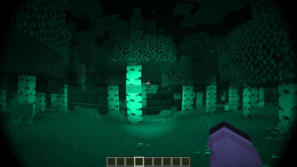 Night Vision compare