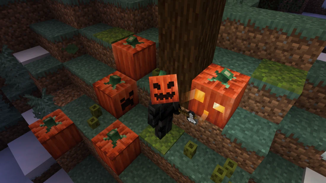 Pumpkins!