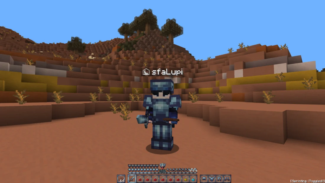 Sky 16x